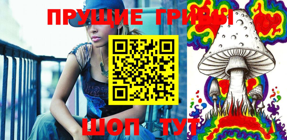 Галлюциногенные грибы мицелий  Вход с VPN  Железногорск 